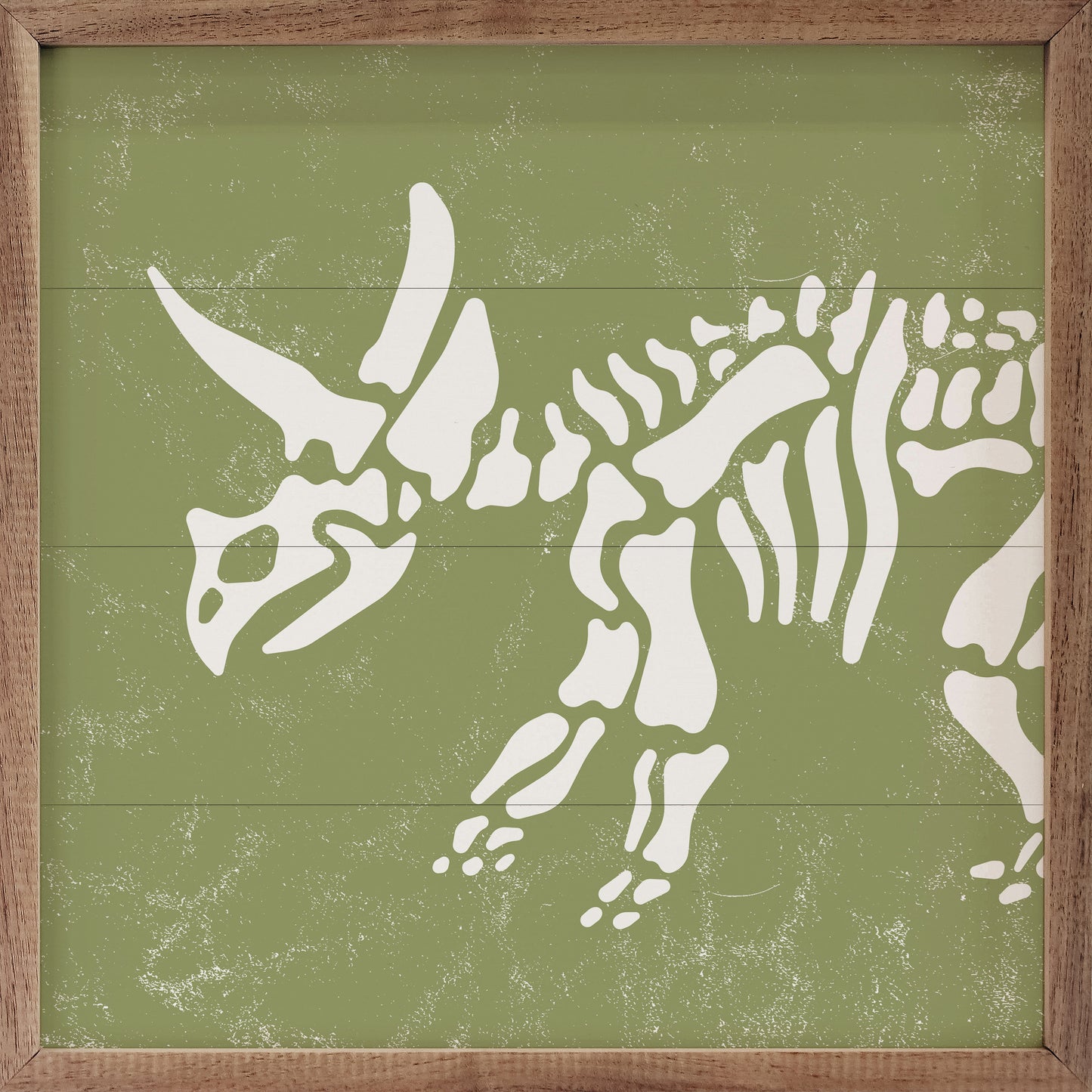 Triceratops Skeleton Green image 0