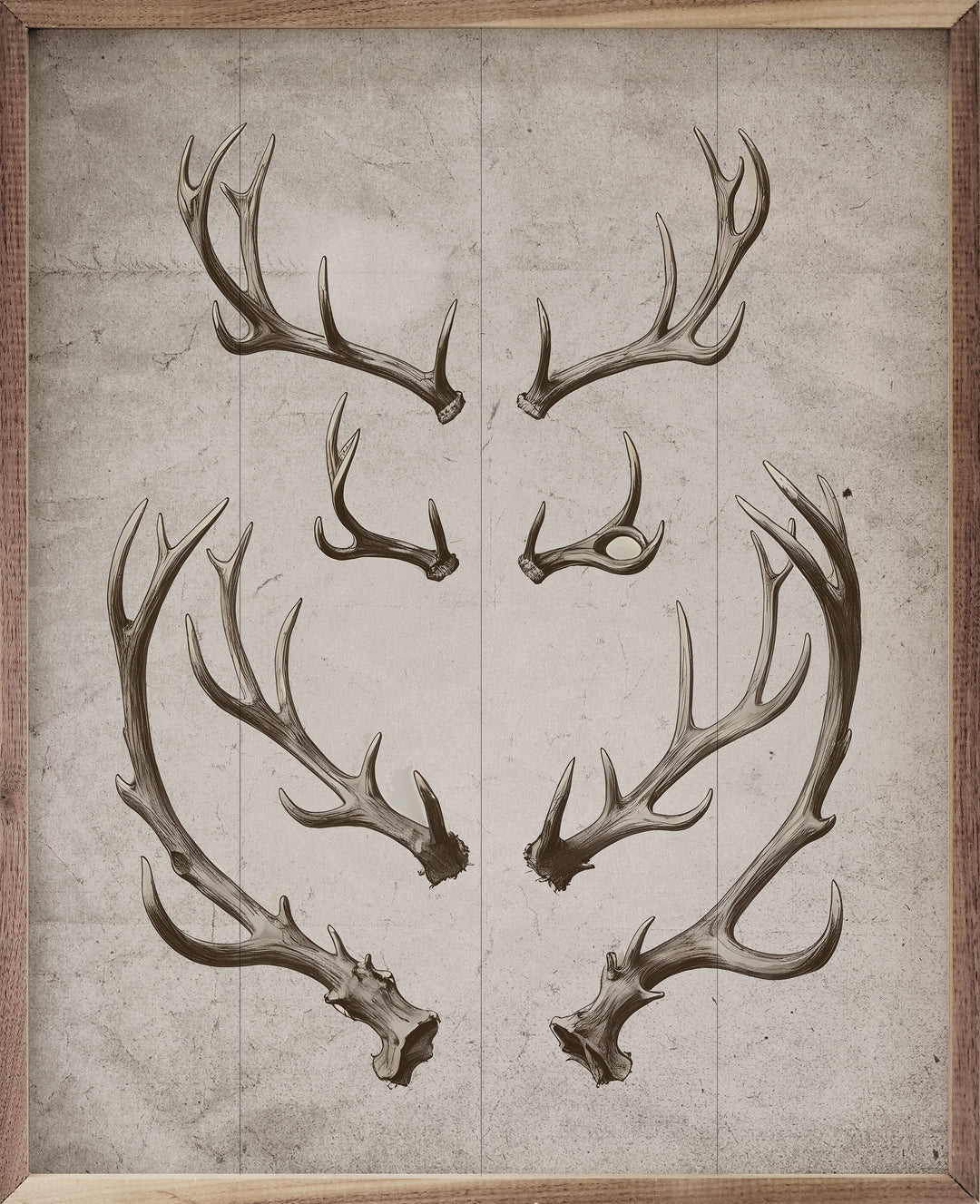 Antlers White image 0