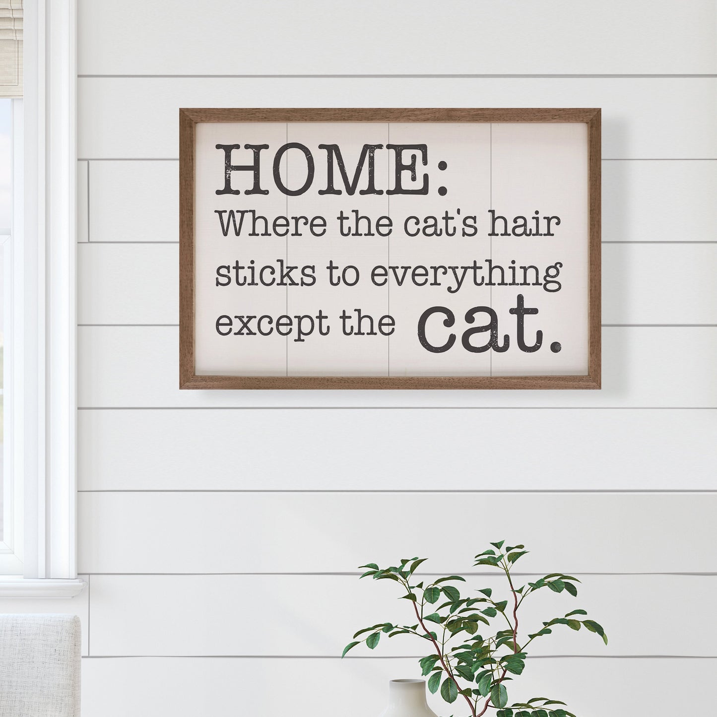 The Cat's Hair White