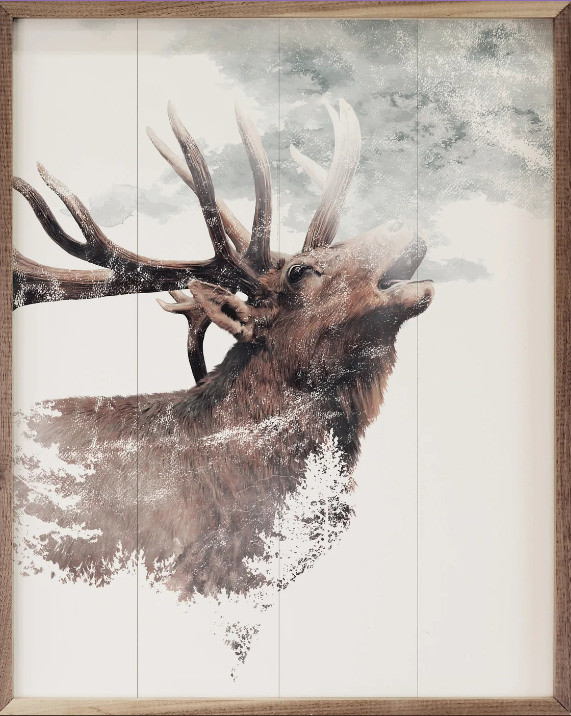 Bugling Elk image 0