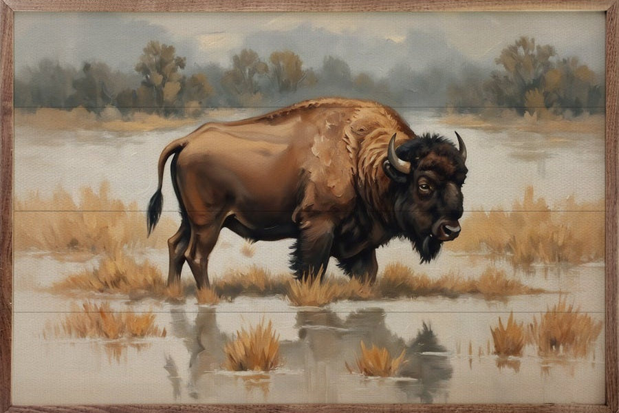 Bison in Water image 0