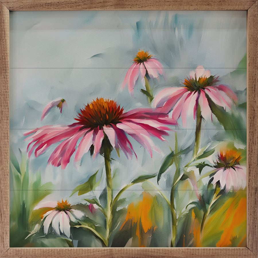 Coneflowers image 1