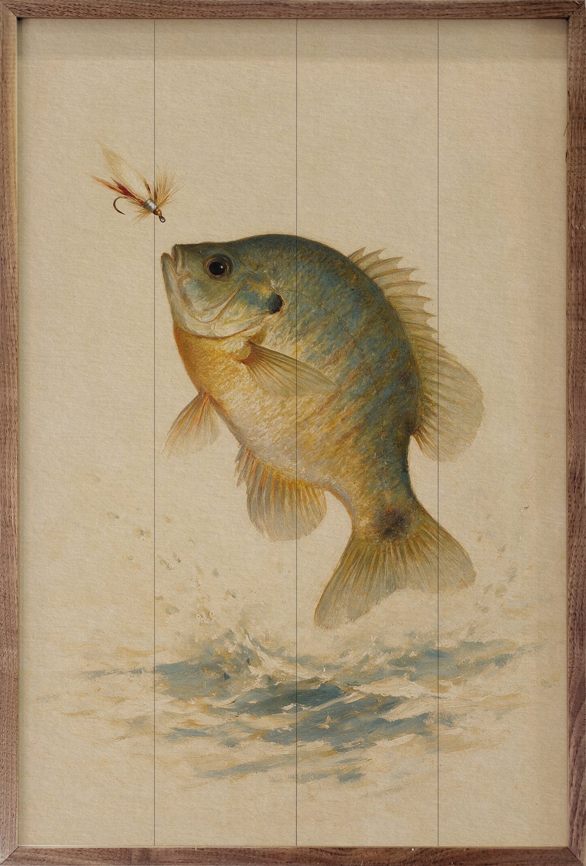 Antique Bluegill Fishing Print