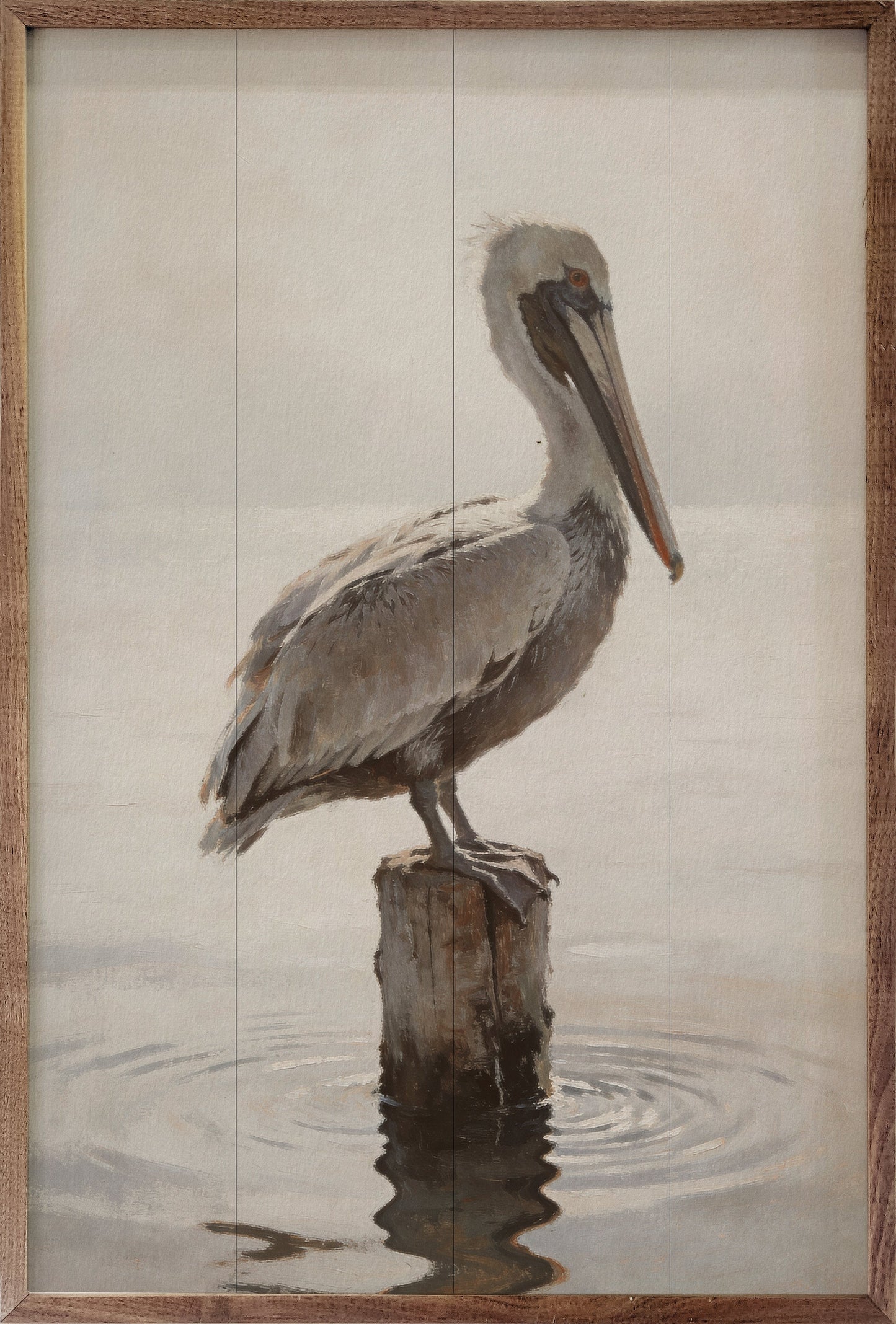 Weathered Pelican Portrait