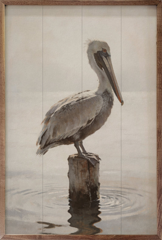 Weathered Pelican Portrait