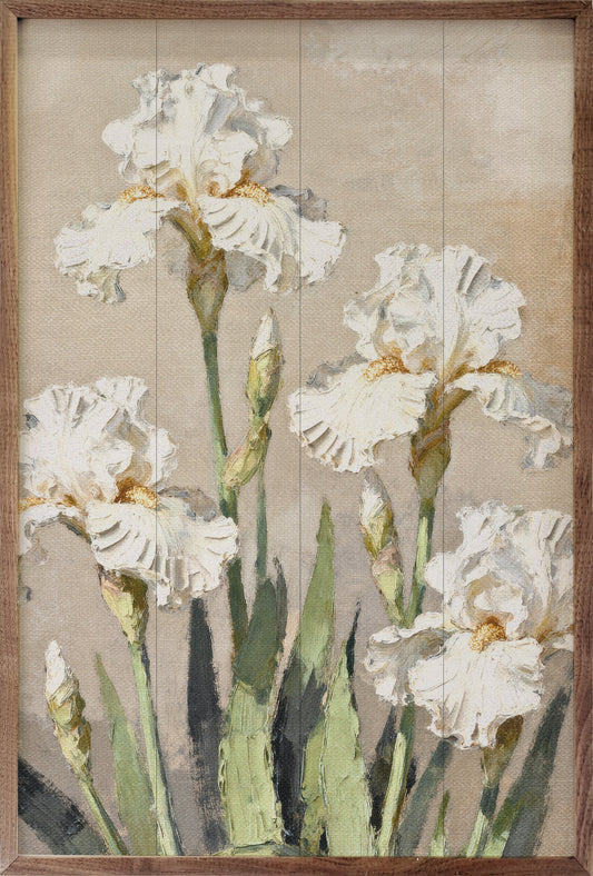 Iris Patch
