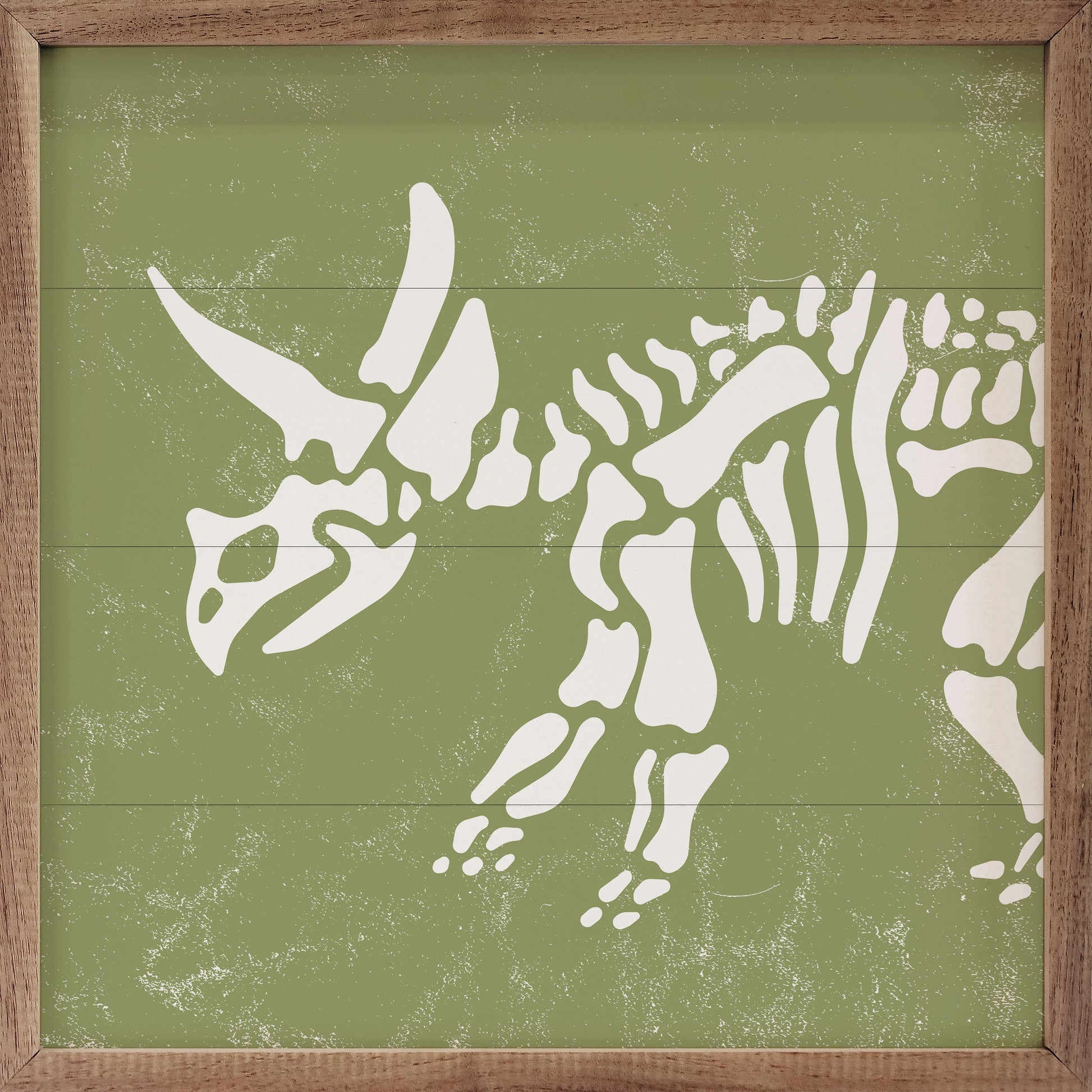 Triceratops Skeleton Green image 0