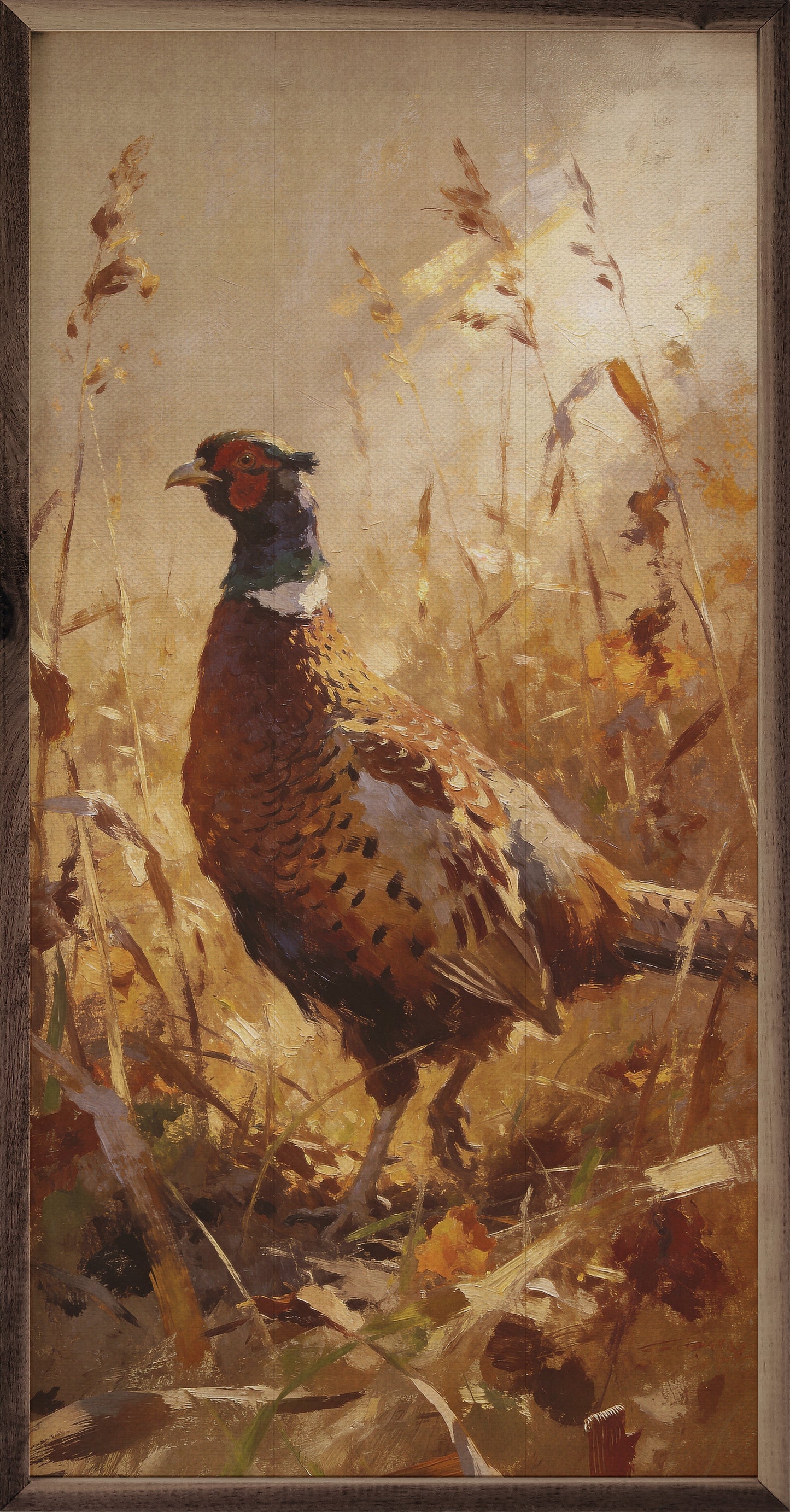 Pheasant In Golden Field