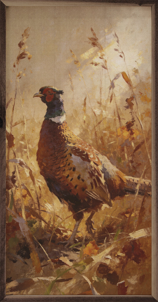 Pheasant In Golden Field