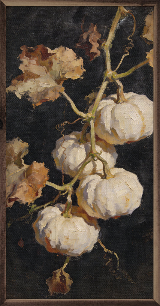 White Pumpkins On The Vine