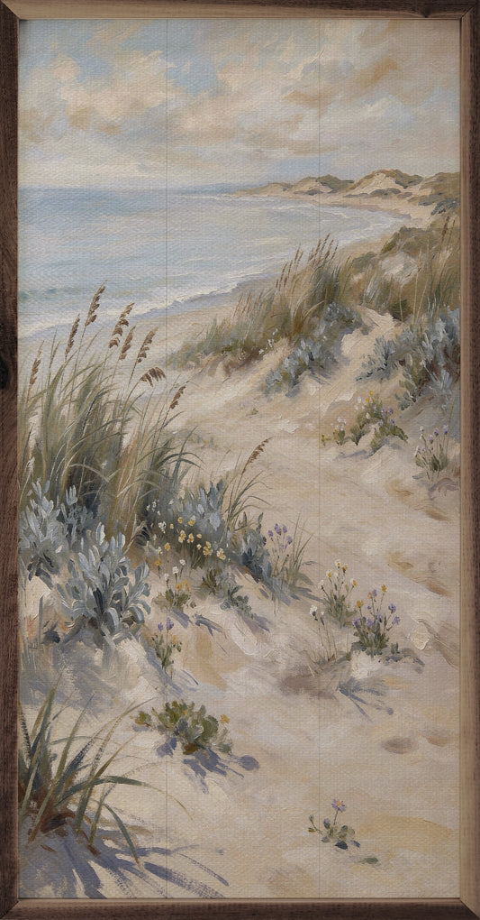 Wind Swept Coastal Dunes