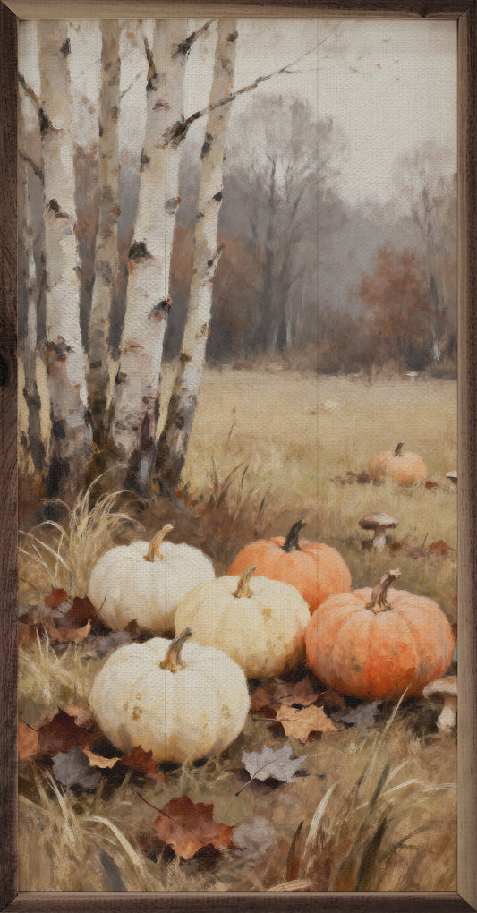 Pumpkins And Birch Trees