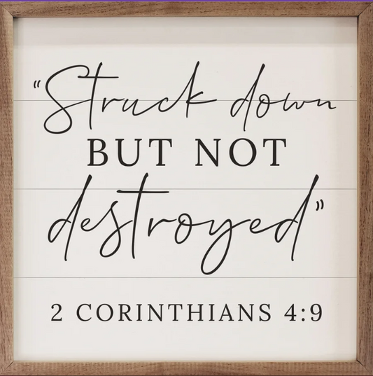 Struck Down 2 Corinthians 4:9 White image 0