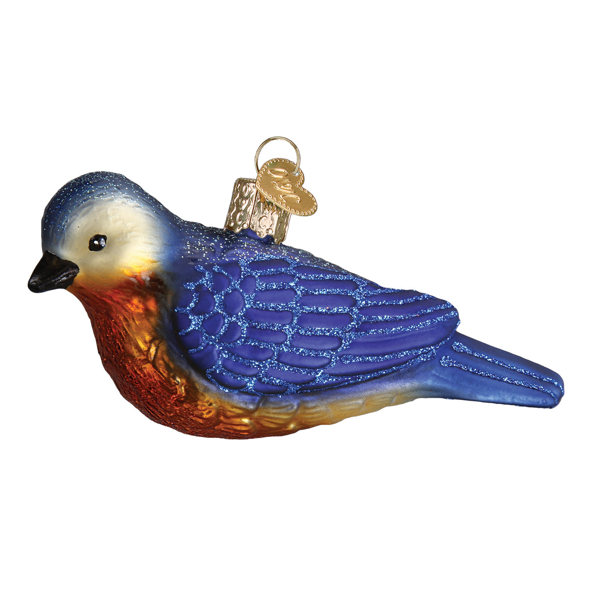Hanging Western Bluebird