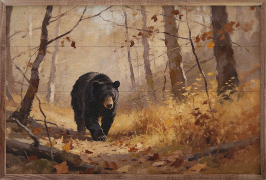 Bear In The Fall Woods