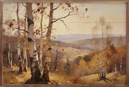 Birch Grove In Autumn Light