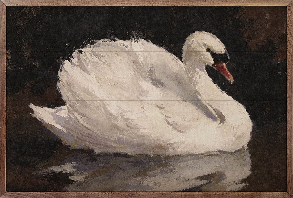 Graceful White Swan On Still Water