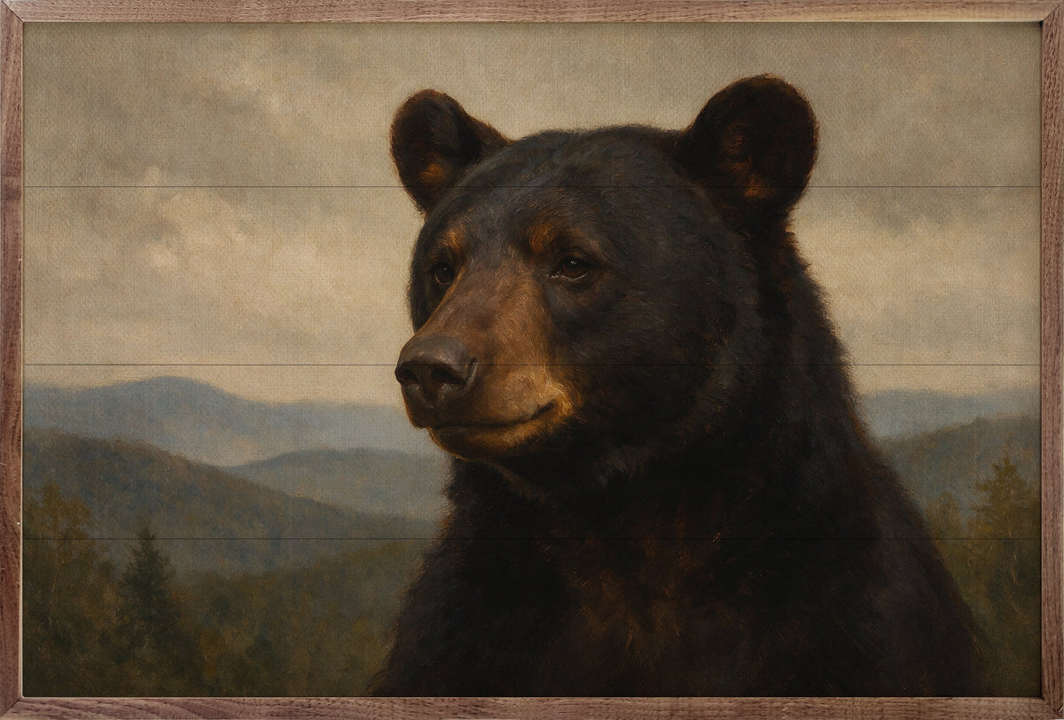 High Country Black Bear