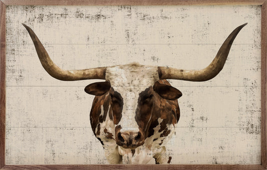 Longhorn Whitewash