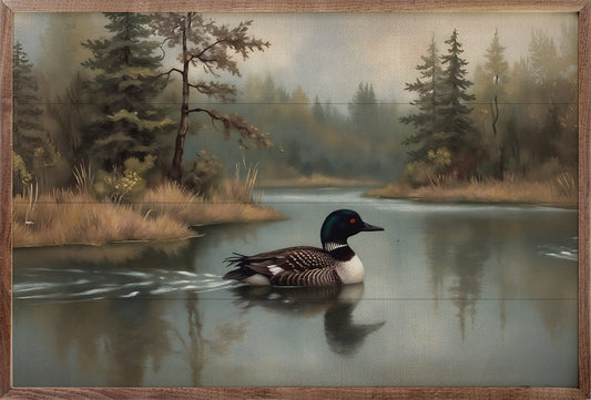 Loon In Pine Lake