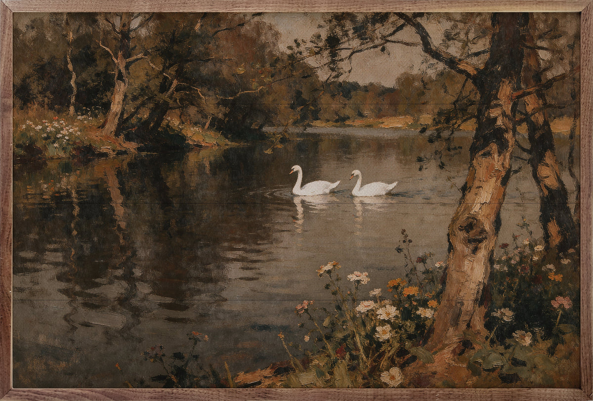 Pair Of Swans On A Woodland River
