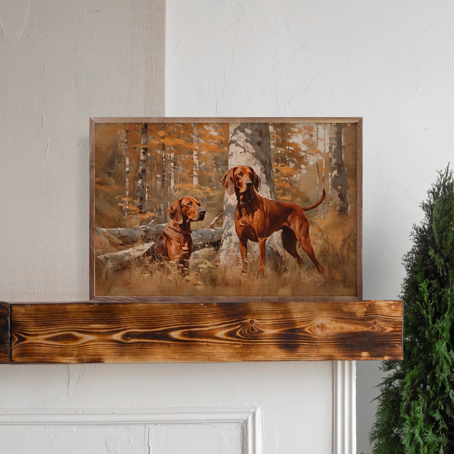 Pair of Redbone Coonhounds