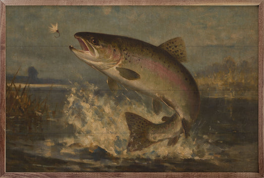 Rainbow Trout On The Lake