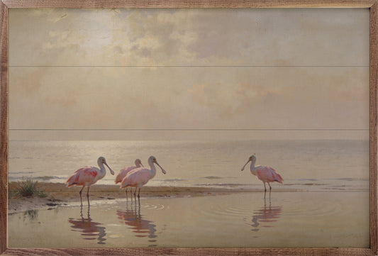 Roseate Spoonbills At Low Tide