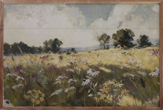 Summertime Daisy Field