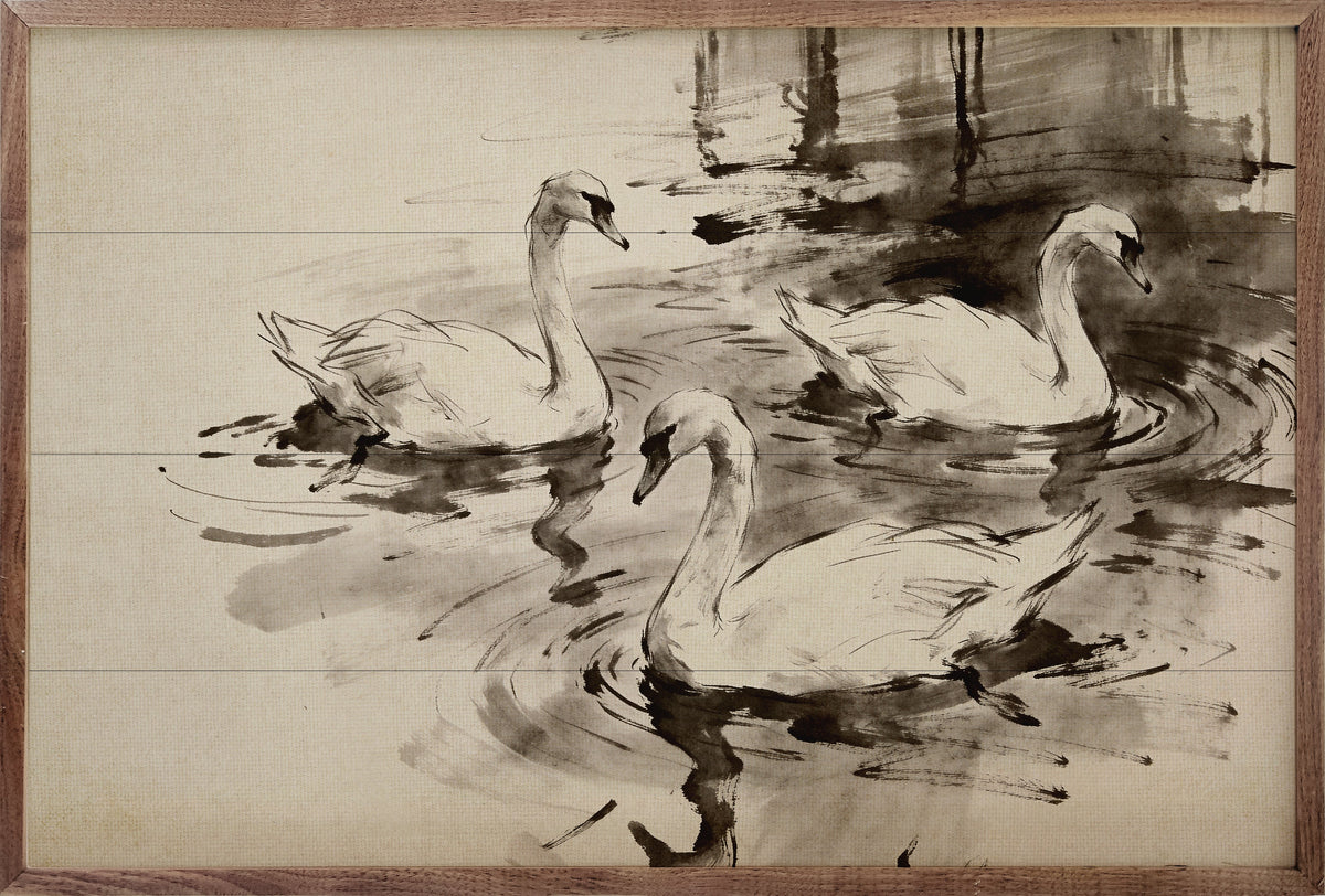 Swan Trio Ink Study