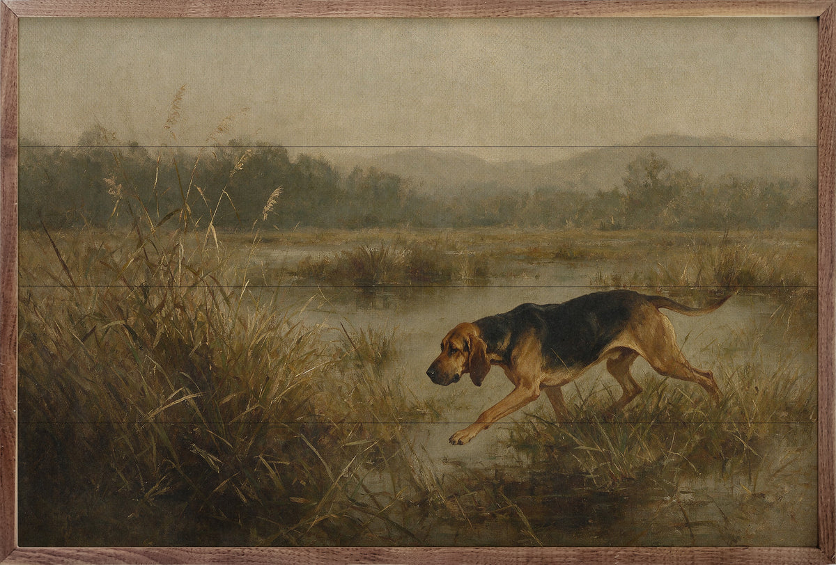 Vintage Hound Dog Running Through The Marsh