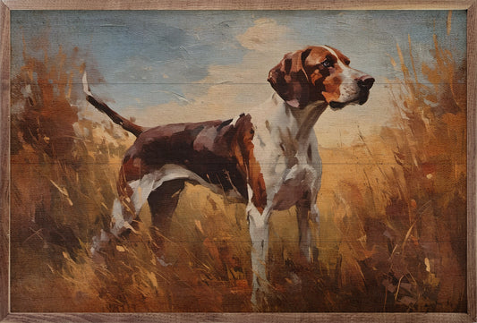 Walker Coonhound In Field
