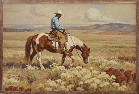 Paint Horse Rider