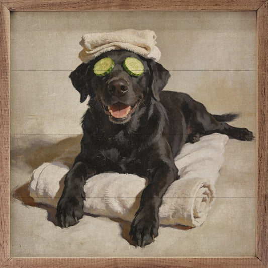 Bath Time Black Labrador