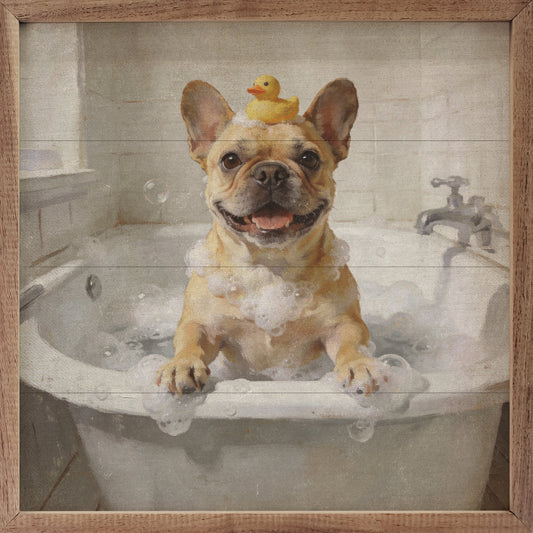 Bath Time French Bulldog