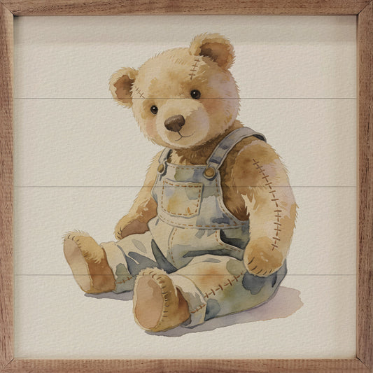 Teddy Bear Overalls