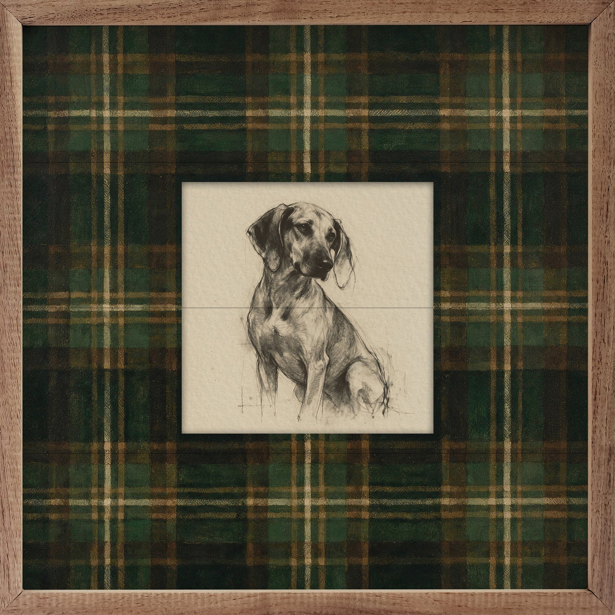 Vintage Portrait Coonhound Tartan Study Print