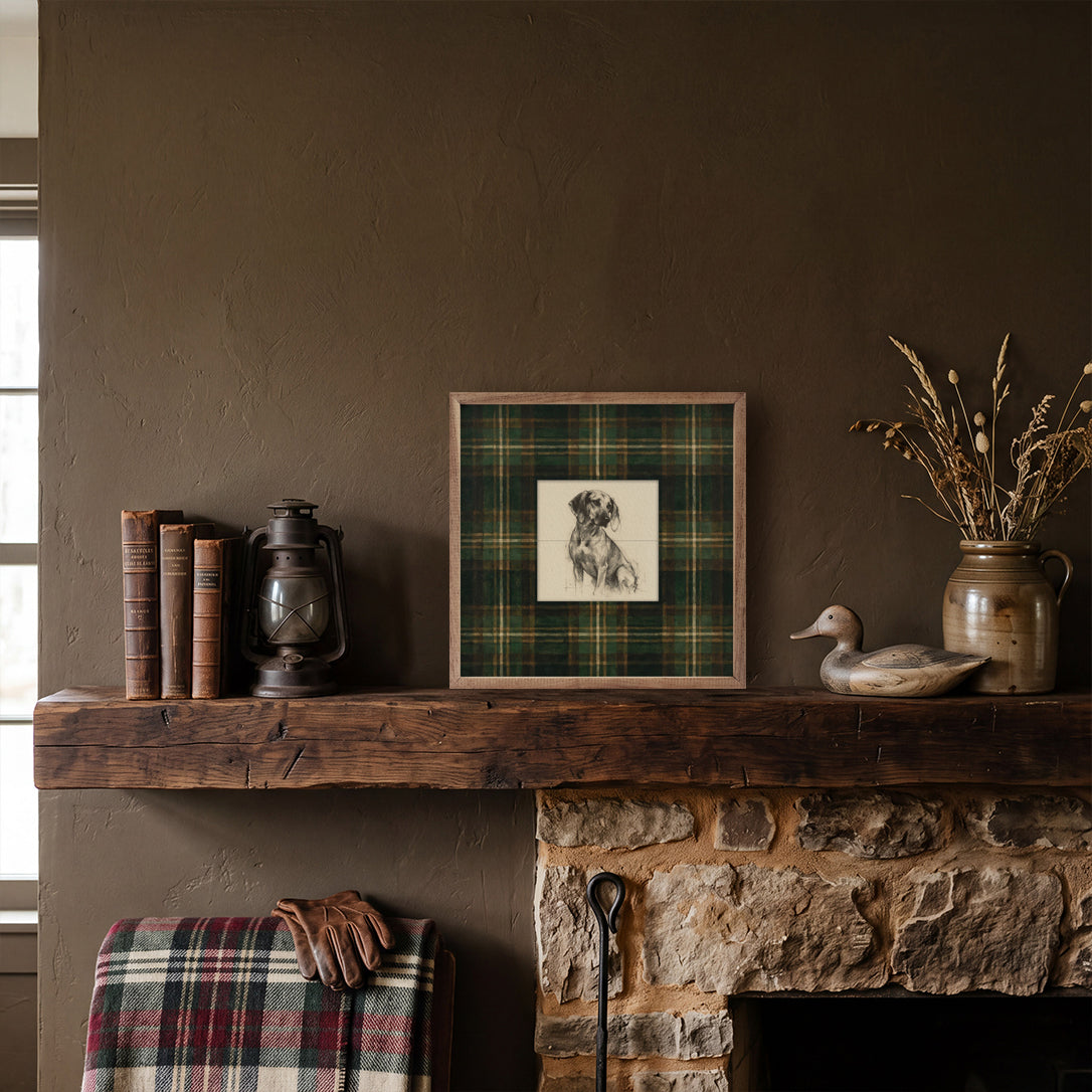 Vintage Portrait Coonhound Tartan Study Print