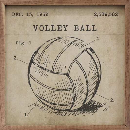 Volleyball Patent Brown
