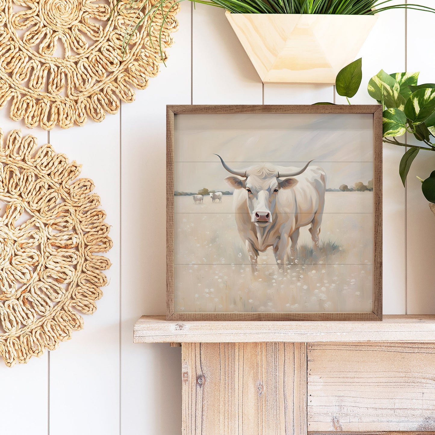 White Longhorn In Field