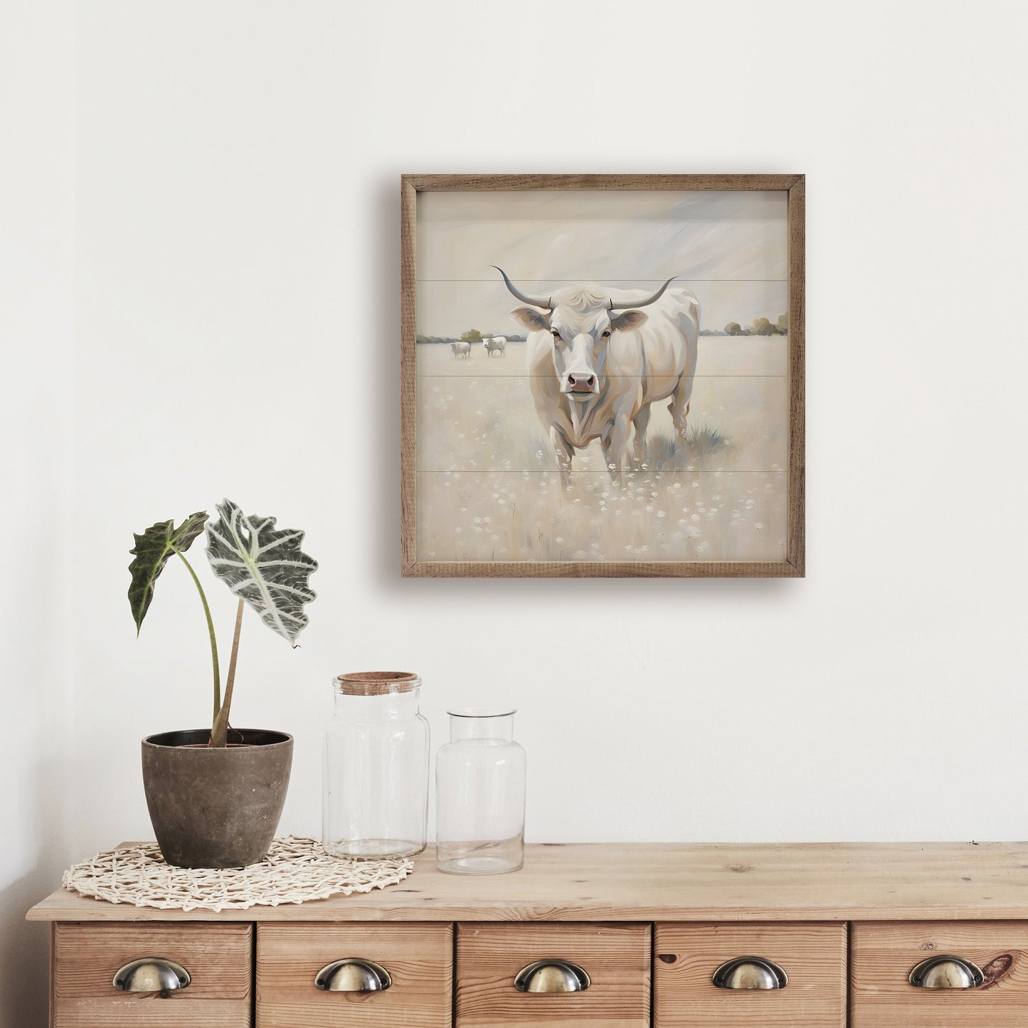 White Longhorn In Field