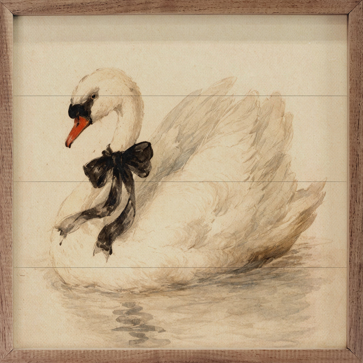 White Swan With Black Ribbon