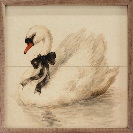 White Swan With Black Ribbon