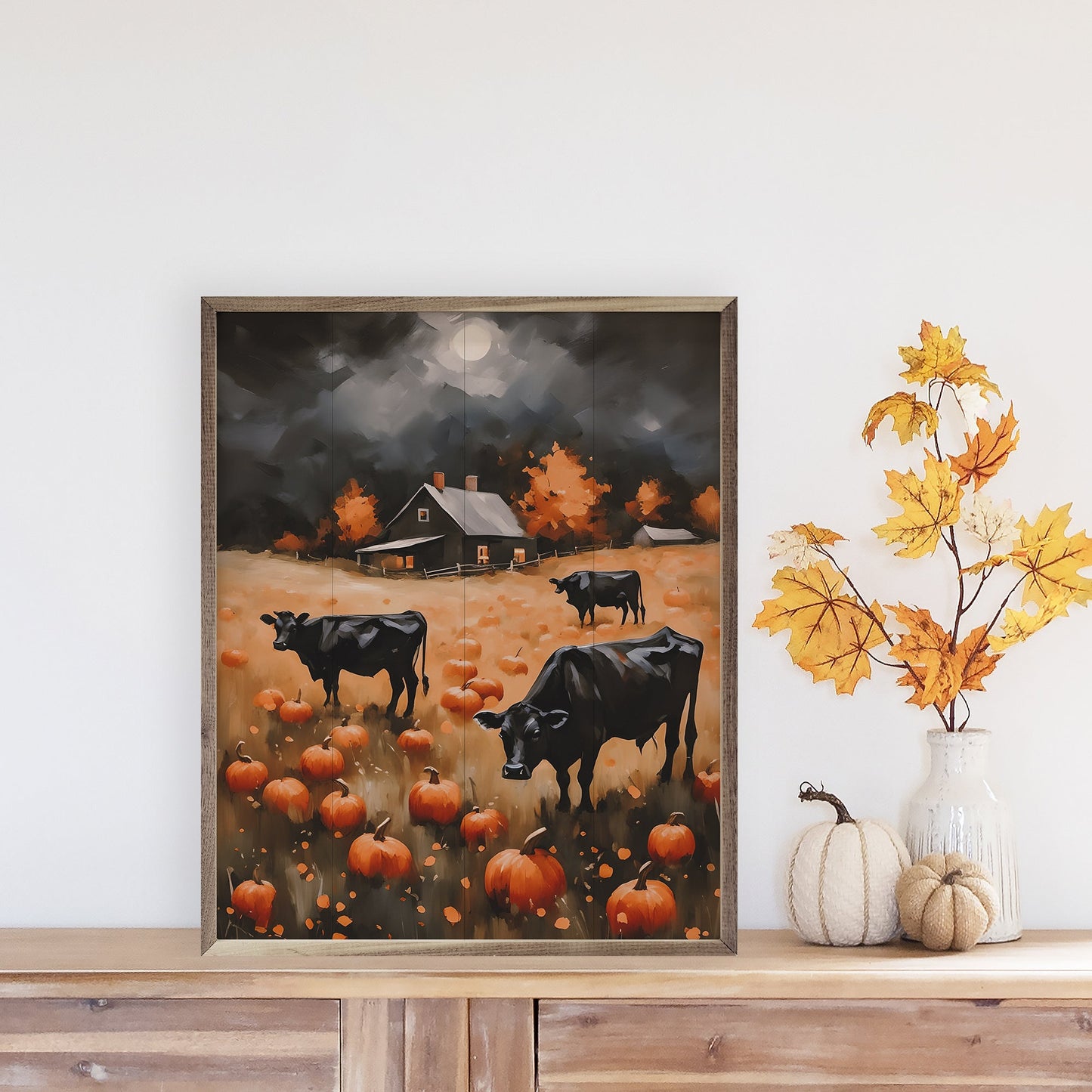 Angus In Pumpkin Field