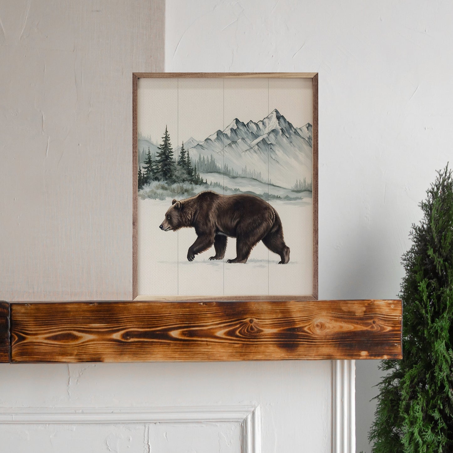 Bear In The Snowy Mountains