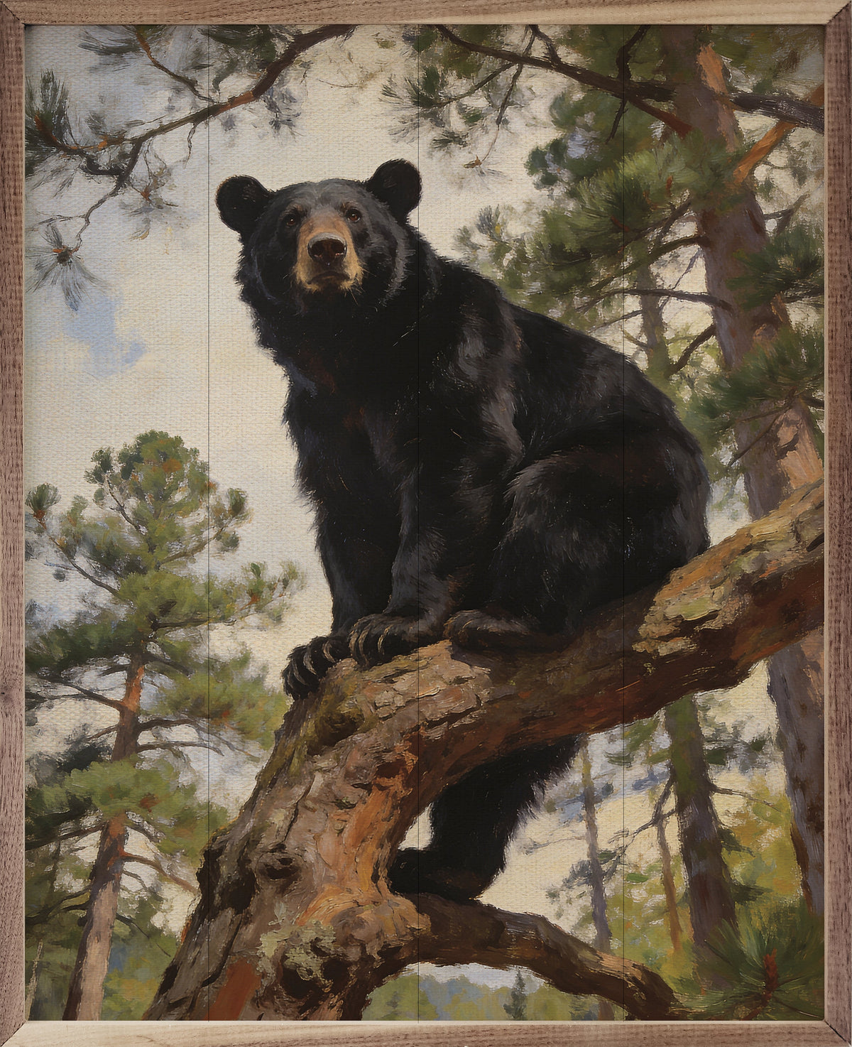 Black Bear In The Pines