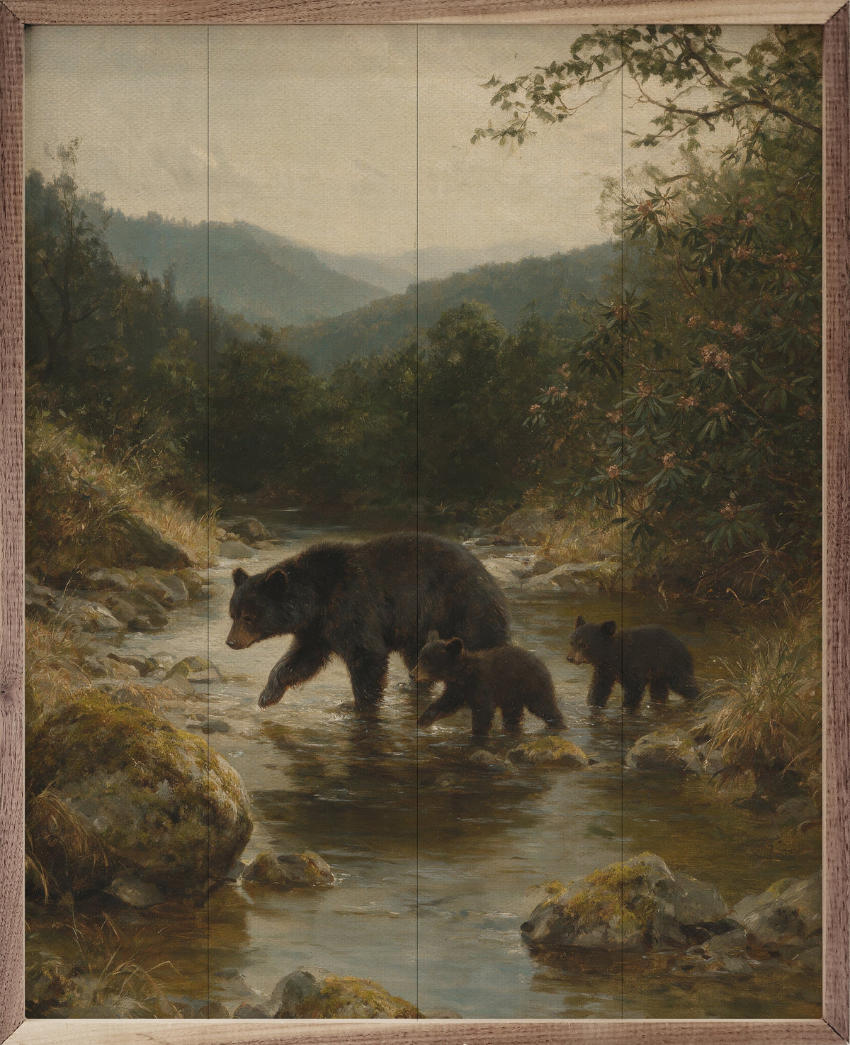 Creekside Black Bear Cubs
