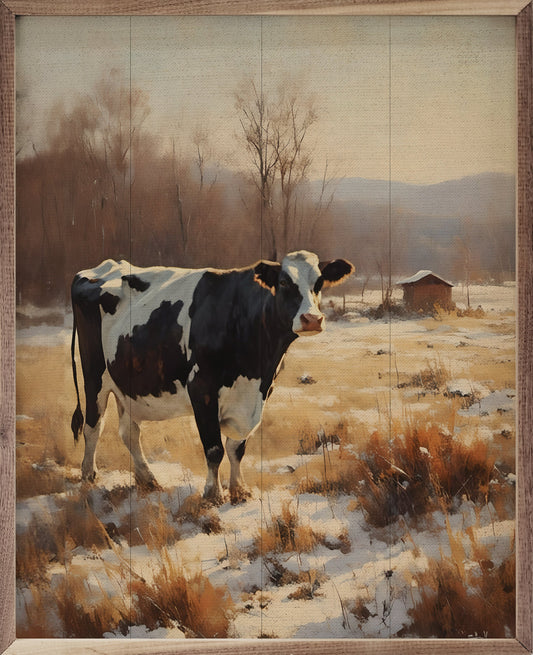 Dairy Cow In Snowy Field