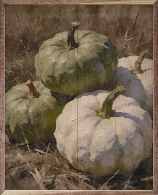 Green Heirloom Pumpkin Still Life