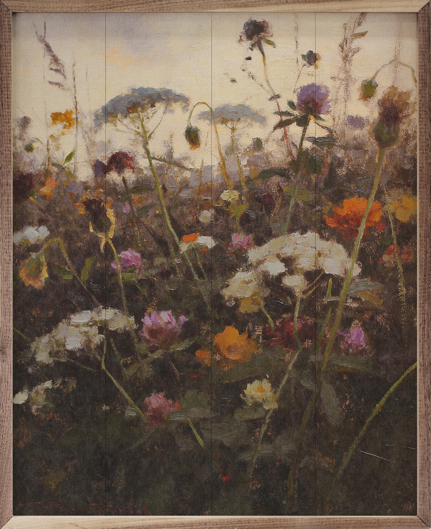 Summer Wildflower Meadow